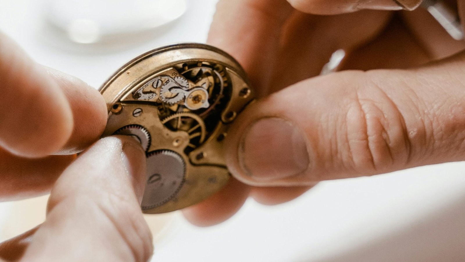 Mouvement tenu par un horloger pour son inspection, horlogerie artisanale